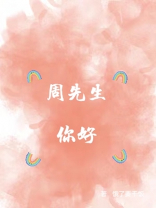 周先生，你好小说