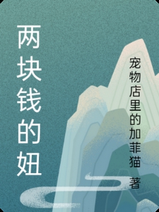 两块钱的妞小说