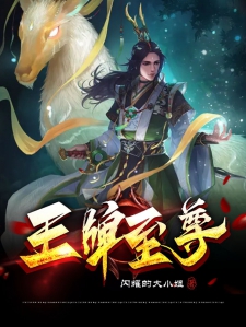 王牌至尊小说
