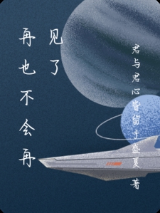 再也不会再见了小说