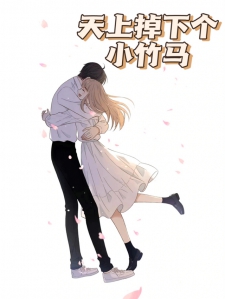 天上掉下个小竹马