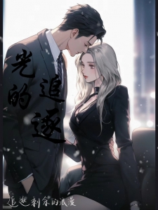 光的追逐小说