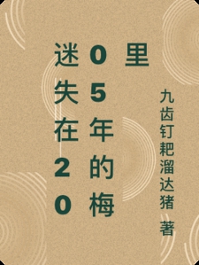 迷失在2005年的梅里小说